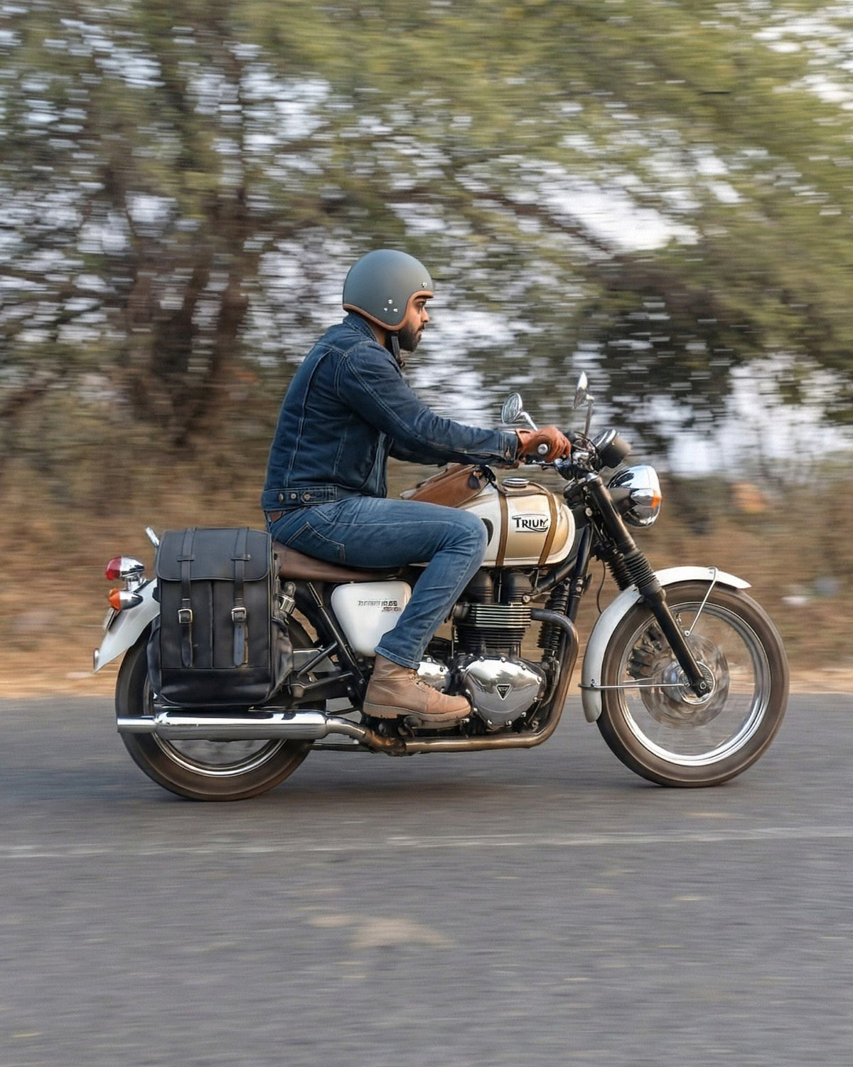 Rambler Backpack Pannier