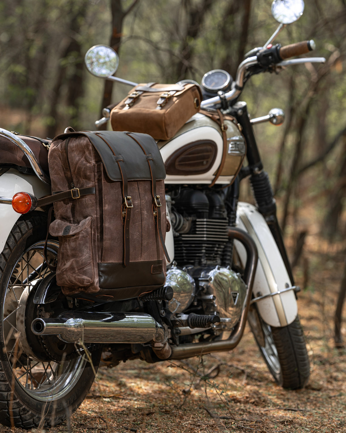 Rambler Backpack Pannier
