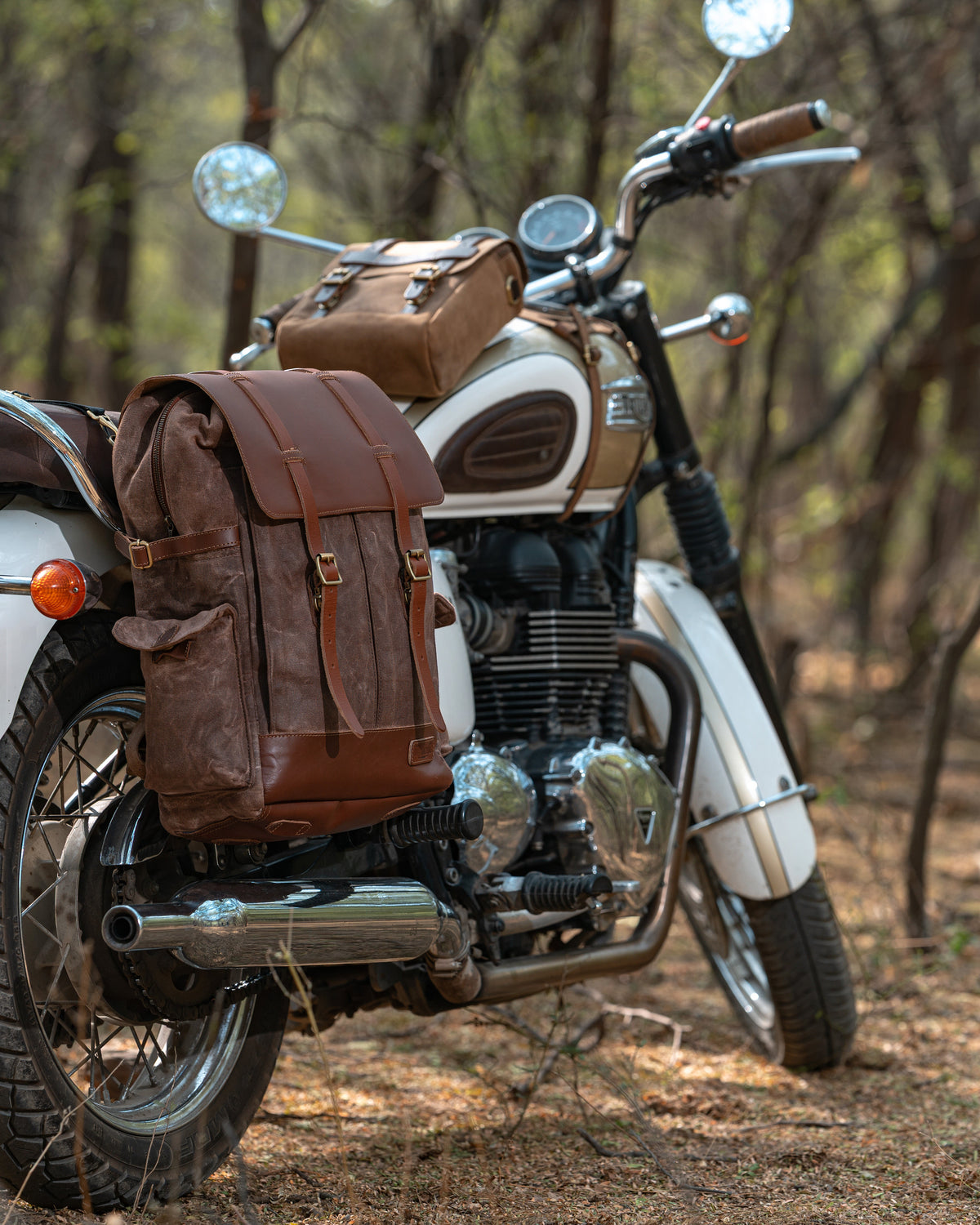 Rambler Backpack Pannier