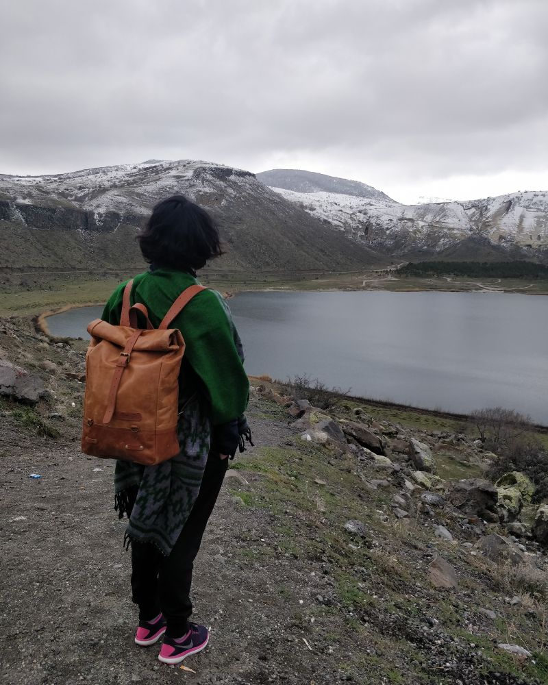 Backpack Pannier - Classic Roll Top